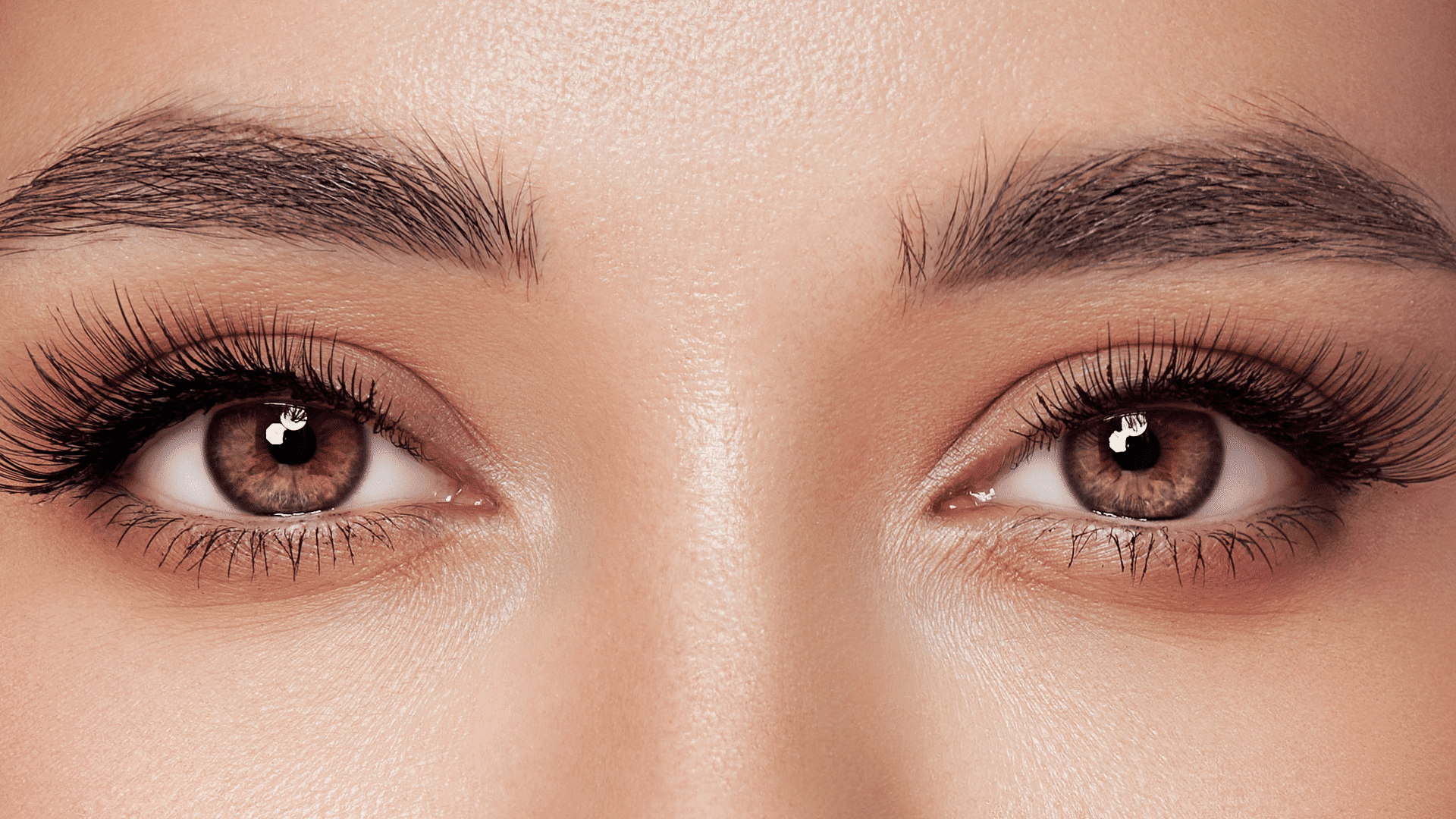Close-up of a woman's brown eyes with long eyelashes and well-groomed eyebrows.